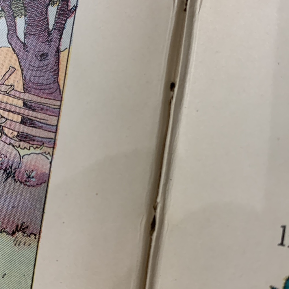 Merry Murphy book - Picture 8 of 10